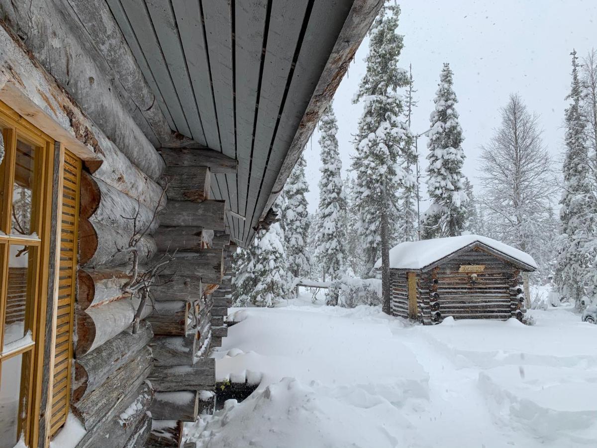 Logwood Chalet Luosto Exterior foto